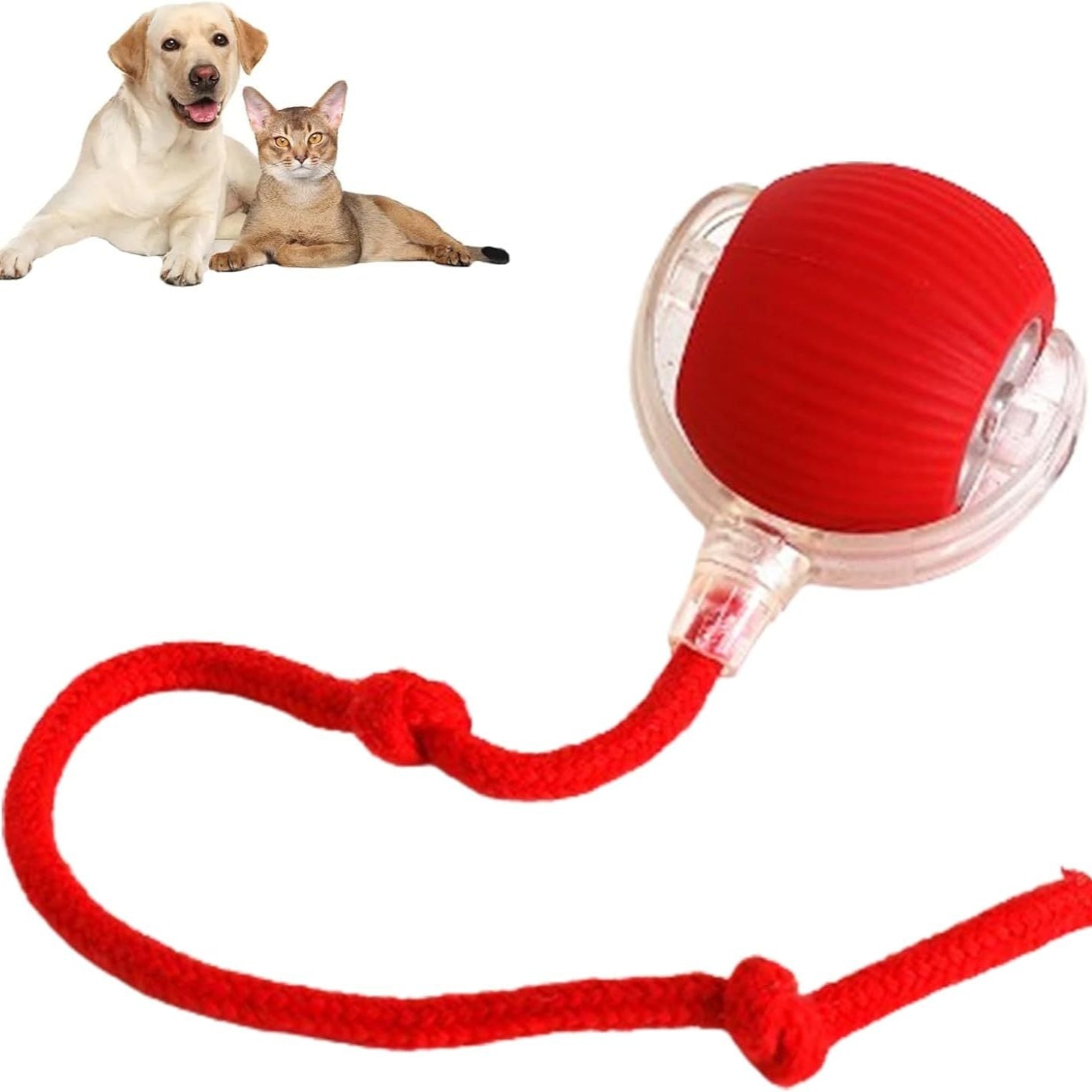 Smart Rolling Pet Ball