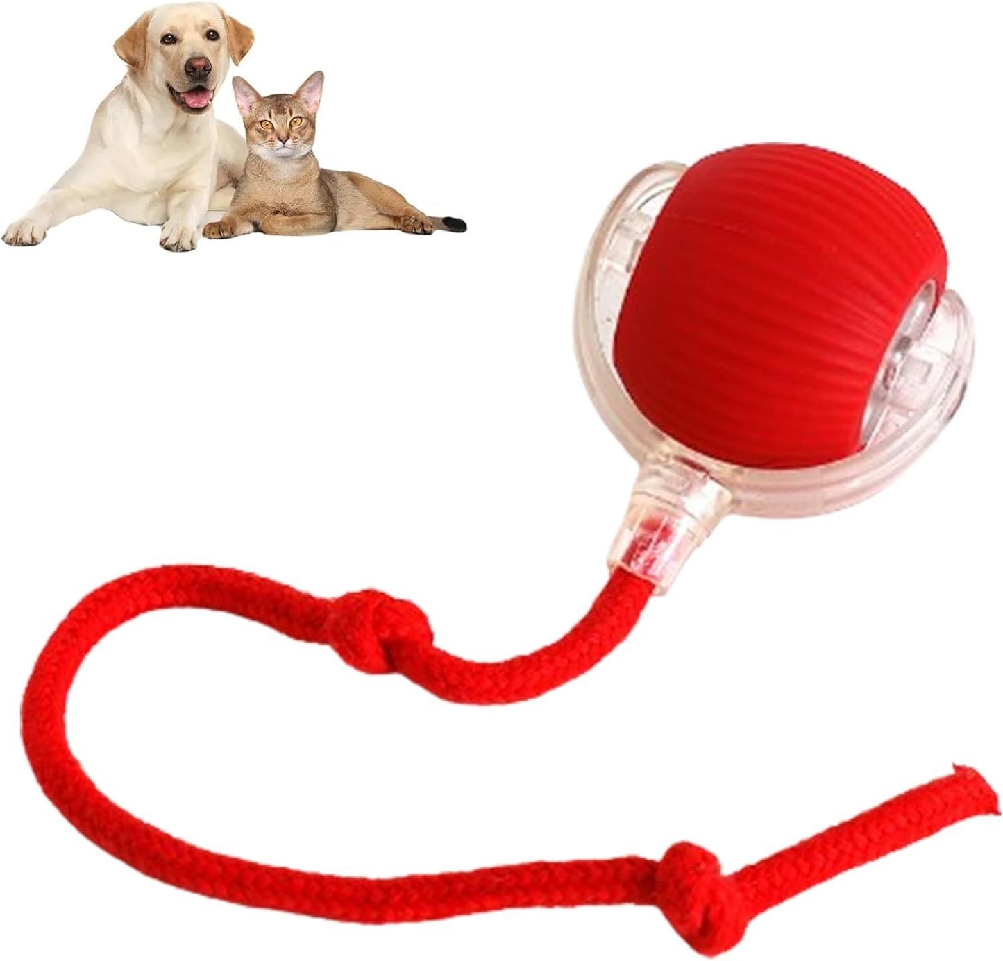 Smart Rolling Pet Ball