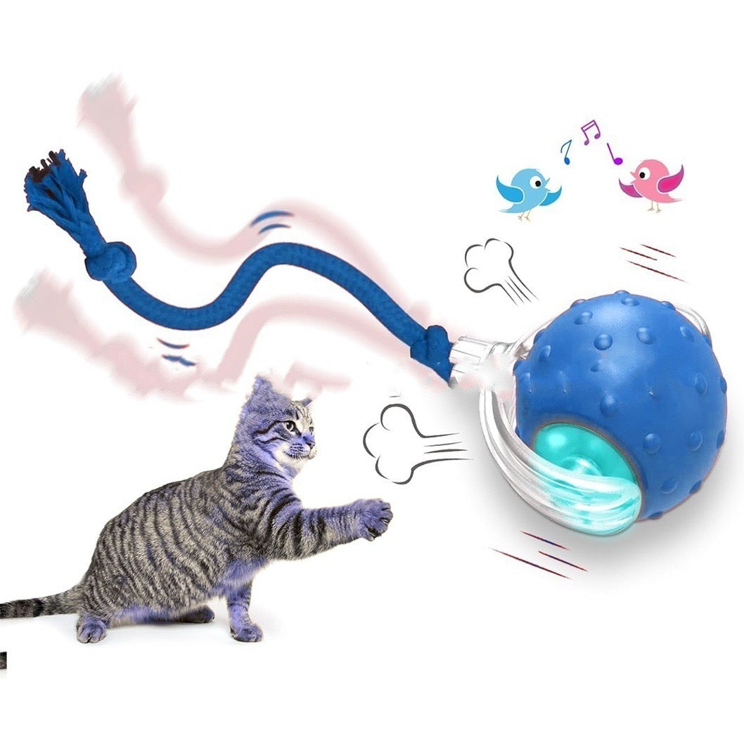 Interactive Cat Toy Rolling Ball