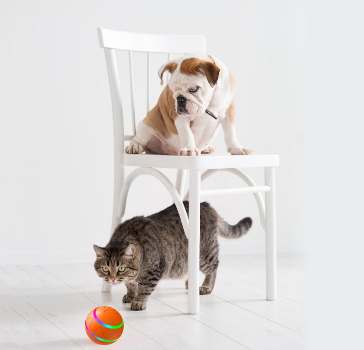 Smart Self-Rotating Cat Toy