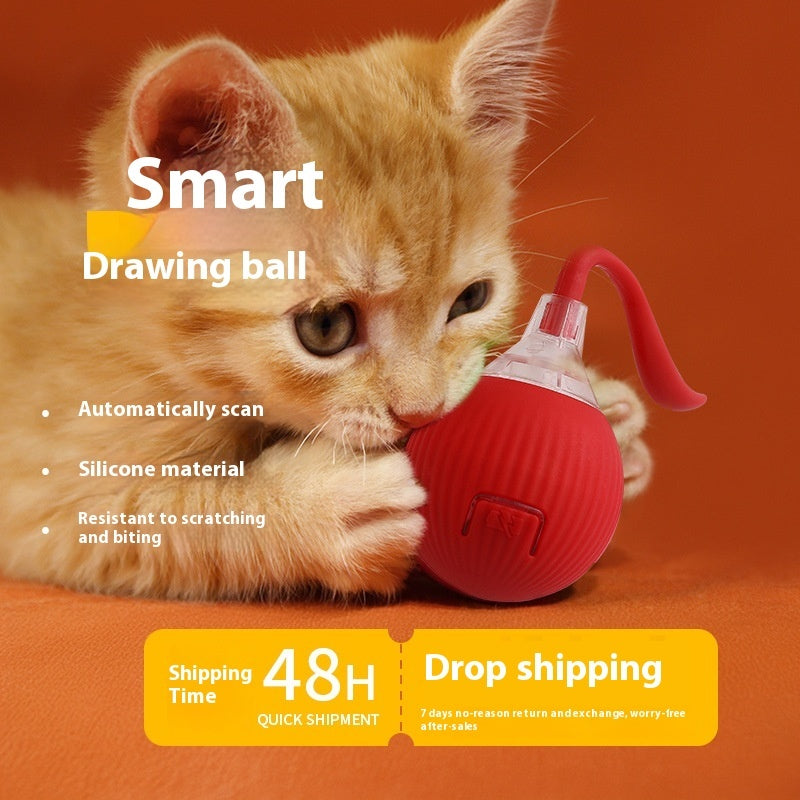 Interactive Cat Toy Rolling Ball