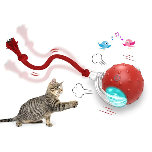Interactive Cat Toy Rolling Ball